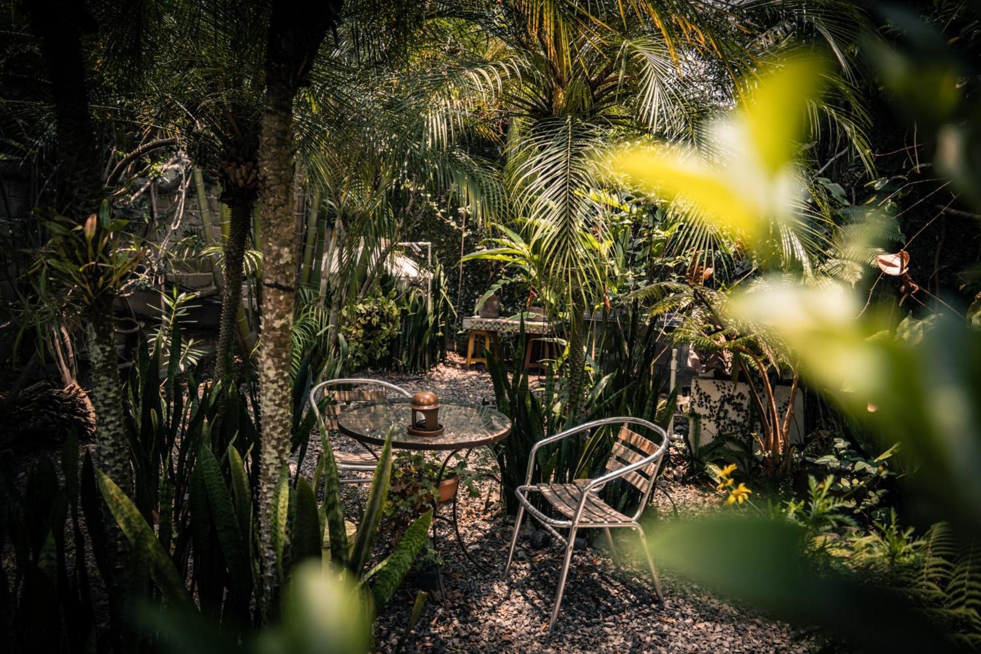 Baraka Antigua Villa Exterior photo